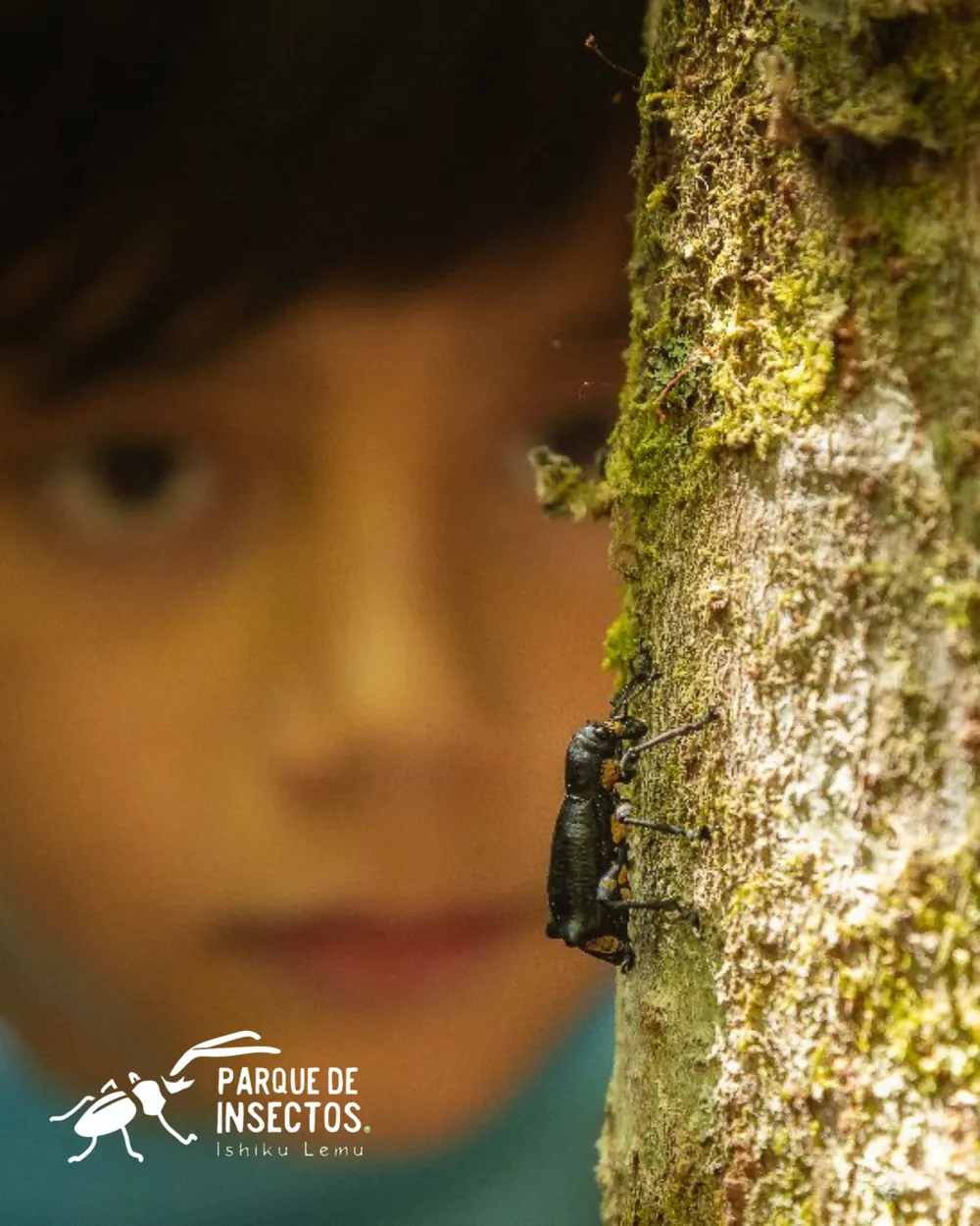 Niño observando un insecto en la corteza